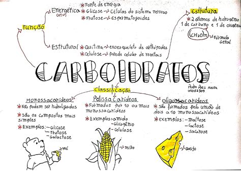 Mapa Mental Proteinas 4