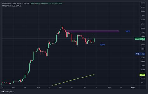 Idx Pani Chart Image Tradingview