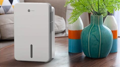 The Best Dehumidifiers for Mold in 2022: Buying Guide | HouseholdMe