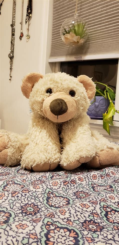 Im An Adult With A Teddy Bear And I Cant Have Sex In Front Of Him