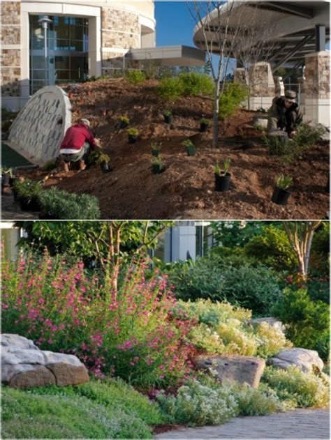 10 Gorgeous And Easy DIY Rock Gardens That Bring Style To Your Outdoors ...