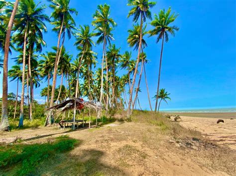 Anasai Beach At Merauke Papua