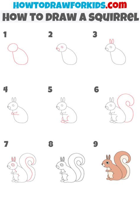 How To Draw A Squirrelstep By Step Very Easycute Squirrel Drawing For