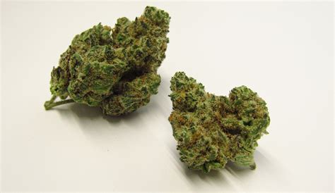 Banana Acai Strain Review Westword