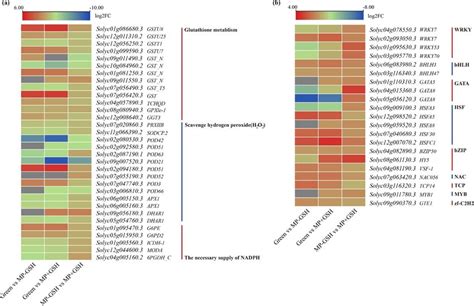 Expression Pattern Validation Of 16 Selected DEGs In The RNA Seq