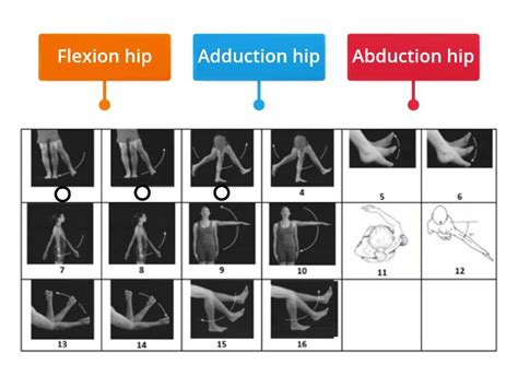 movement patterns labelled diagram