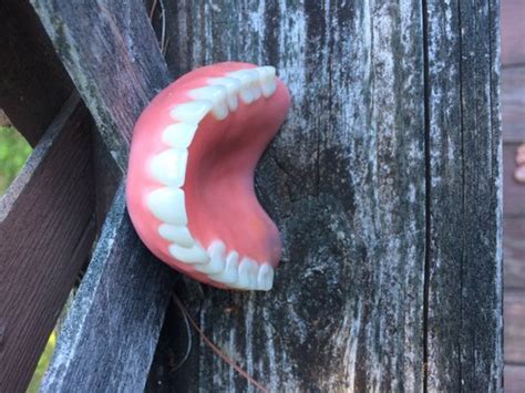 BILL T CAVALLI, DDS - Updated October 2025 - 17 Photos & 124 Reviews ...