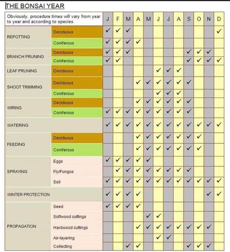 tree calendar seasonal tips pittsburgh bonsai society