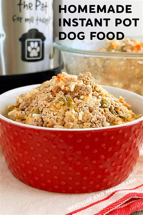 Homemade Instant Pot Dog Food - Meatloaf and Melodrama