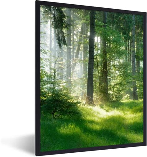 Fotolijst Incl Poster Natuur Bomen Bos Groen Zon Gras