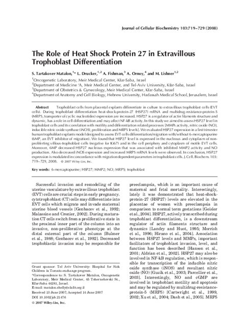 Pdf The Role Of Heat Shock Protein 27 In Extravillous Trophoblast