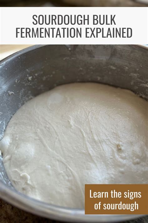 Sourdough Bulk Fermentation 101 Artofit
