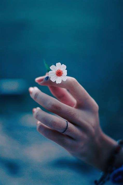 Photo of Person's Hand Holding a Tiny Flower · Free Stock Photo