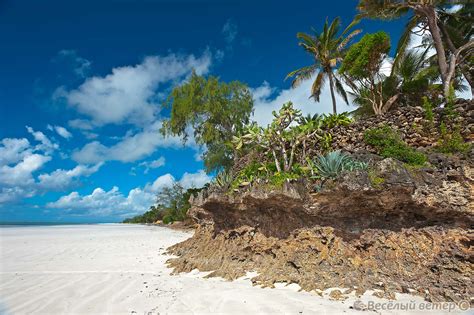 Кения пляжи (74 фото)