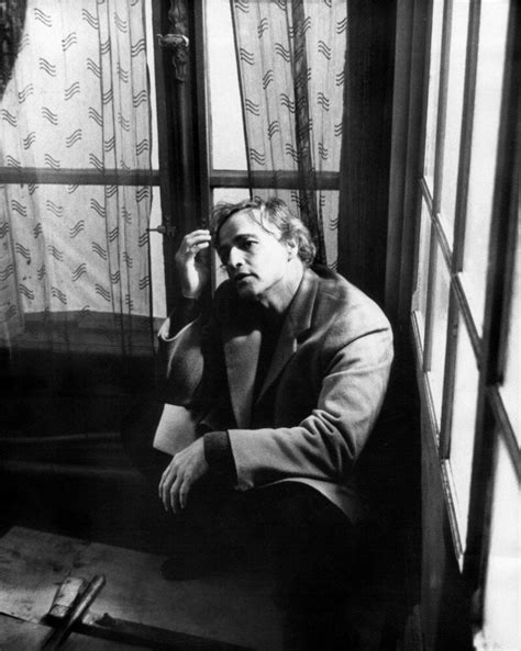 Фото: Последнее танго в Париже / Кадр из фильма «Последнее танго в ...