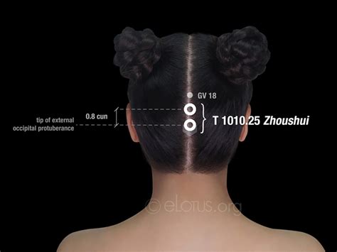 Zhoushui T 1010 25 Master Tung S Acupuncture ELotus CORE