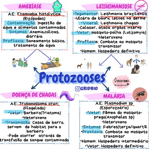 Três Doenças Causadas Por Protozoários E Seus Sintomas
