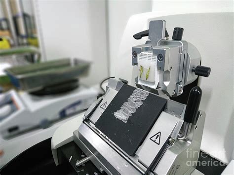 cut tissue section  rotary microtome   choksawatdikorn science