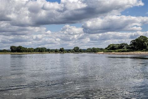 Das Biosphärenreservat Flusslandschaft Elbe MeerART