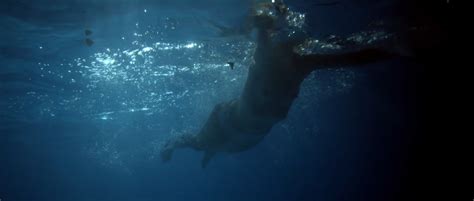 Nude Video Celebs Helena Af Sandeberg Nude Morkt Vatten