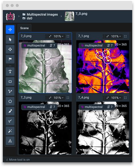 How To Annotate Multispectral Images For Computer Vision Models