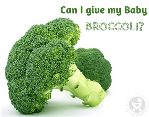 Can I Give My Baby Broccoli