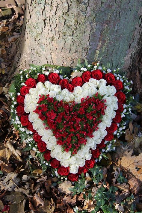 Heart Shaped Sympathy Flowers Stock Photo By ©portosabbia 16312333