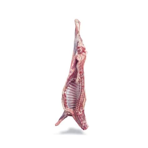 Pre Order Jaziri Lamb Whole Carcass Abu Dhabi