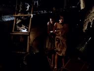 Naked MIlena Flick In Pau Brasil