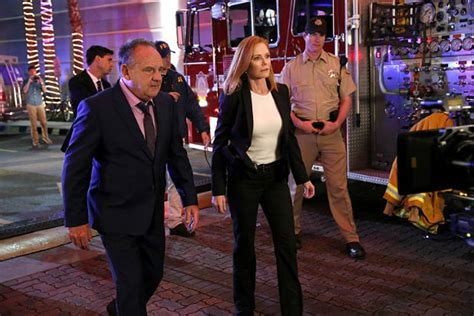 'CSI' Series Finale First Look: Marg Helgenberger, Paul Guilfoyle Are Back in Action (Photos)