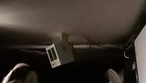 Super Hot Blomde XHamster