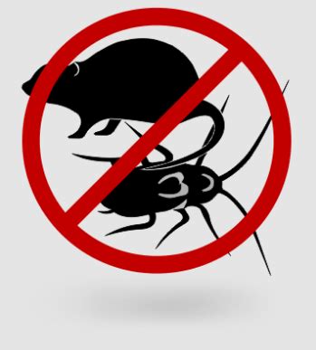 Уничтожение грызунов, насекомых, Уборка домов в США — SVOI.us