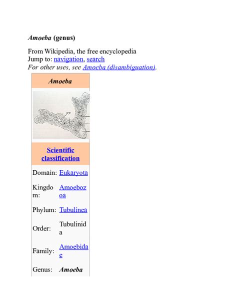 (DOC) AMOEBA PROTEUS | ceaser lubaba - Academia.edu