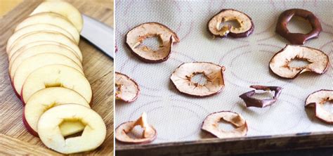 Food Dehydrator Recipes Apples | Dandk Organizer