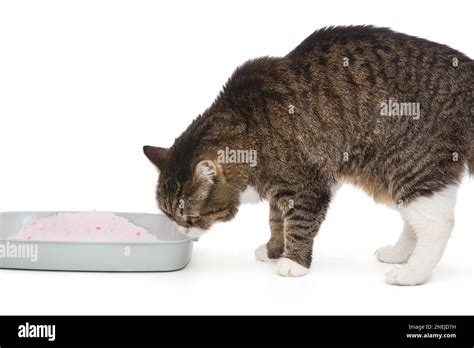 Silica gel filler hi-res stock photography and images - Alamy