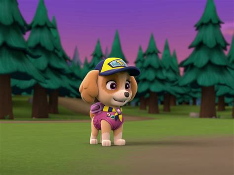 Paw Patrol Camping Trip Hot Sex Picture