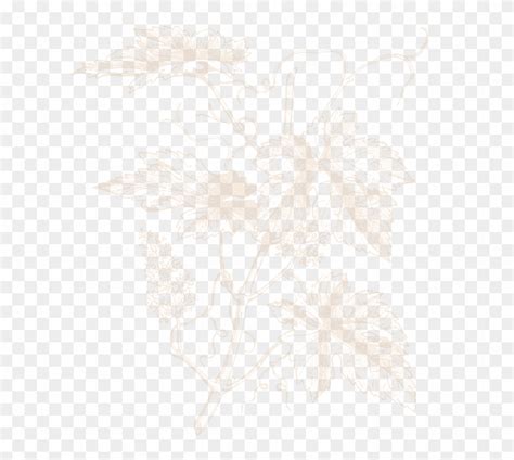 Foto Png Transparente 10 Free Cliparts Download Images On Clipground 2025
