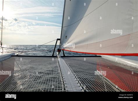 Catamaran Sailboat Design