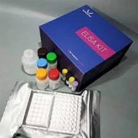 ELK Biotechnology Mouse TNFa Tumor Necrosis Factor Alpha ELISA Kit At