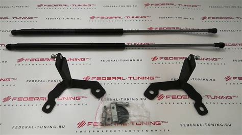 Газовые упоры капота RIVAL для Toyota RAV4 2013-2019 - YouTube