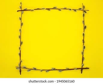 Spring Background Frame Made Pussy Willow Stock Photo Shutterstock