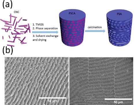 Templating Method In Cnc Cholesteric Structure A Diagram Showing How