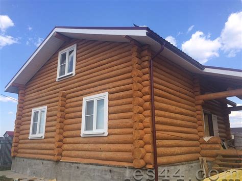 Цвет калужница фото домов (76 фото) » НА ДАЧЕ ФОТО