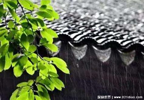 梅雨季节是什么时间2021，每年的6到7月份 阴雨连绵一个月