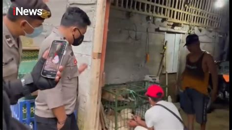 Penggerebekan Tempat Jagal Anjing Di Blitar Inewsmalam Youtube