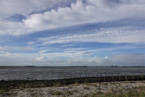 Oosterschelde Door Arjan Van Lomwel Goes Windveren Omroep Zeeland