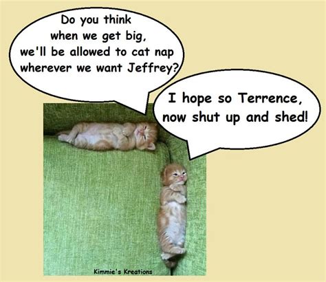 A Day In The Life Of Jeffrey And Terrence The Life