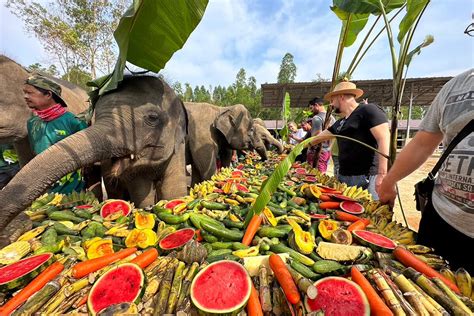 National Elephant Day Thailand