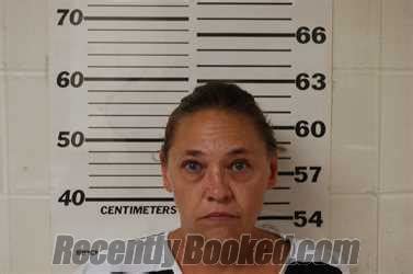 Recent Booking / Mugshot for KRISTI RAE STOUT in Henderson County, Texas