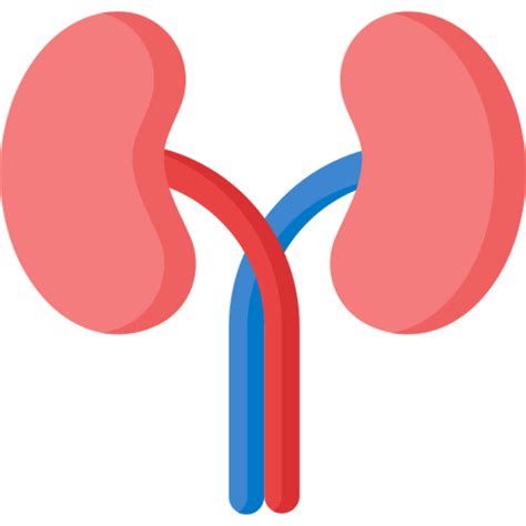 kidneys icon design 32328337 PNG